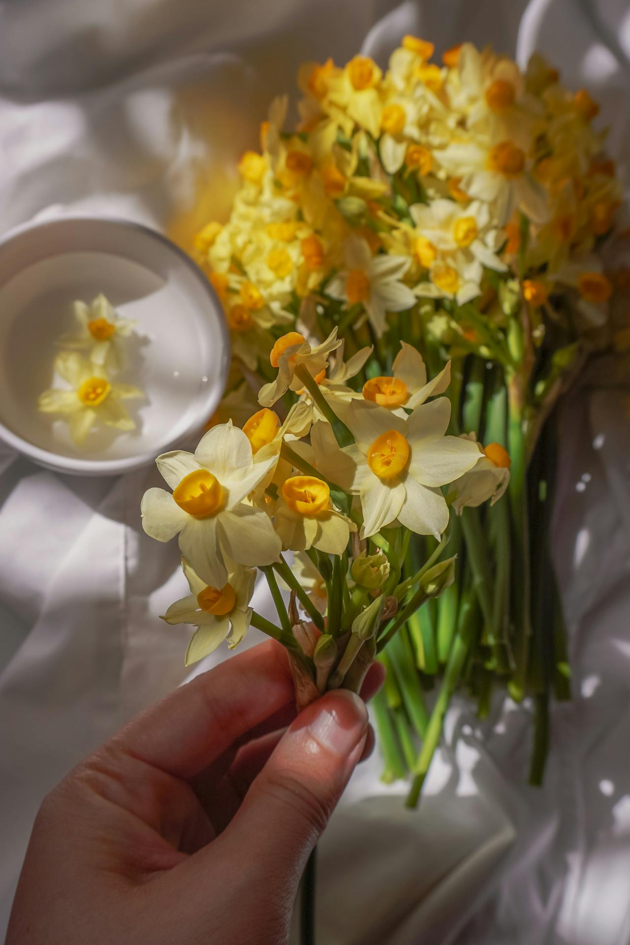Main tenant des fleurs jaunes et fraîches. 