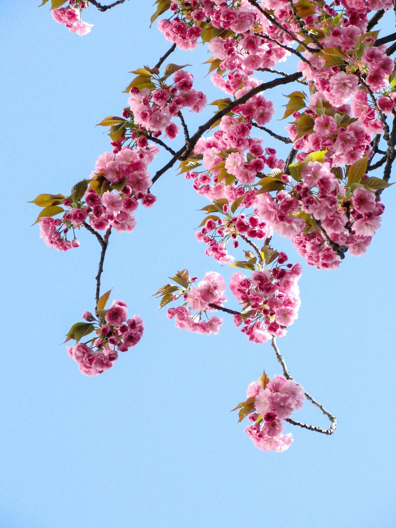 Protégez et ravivez votre peau pour un printemps lumineux