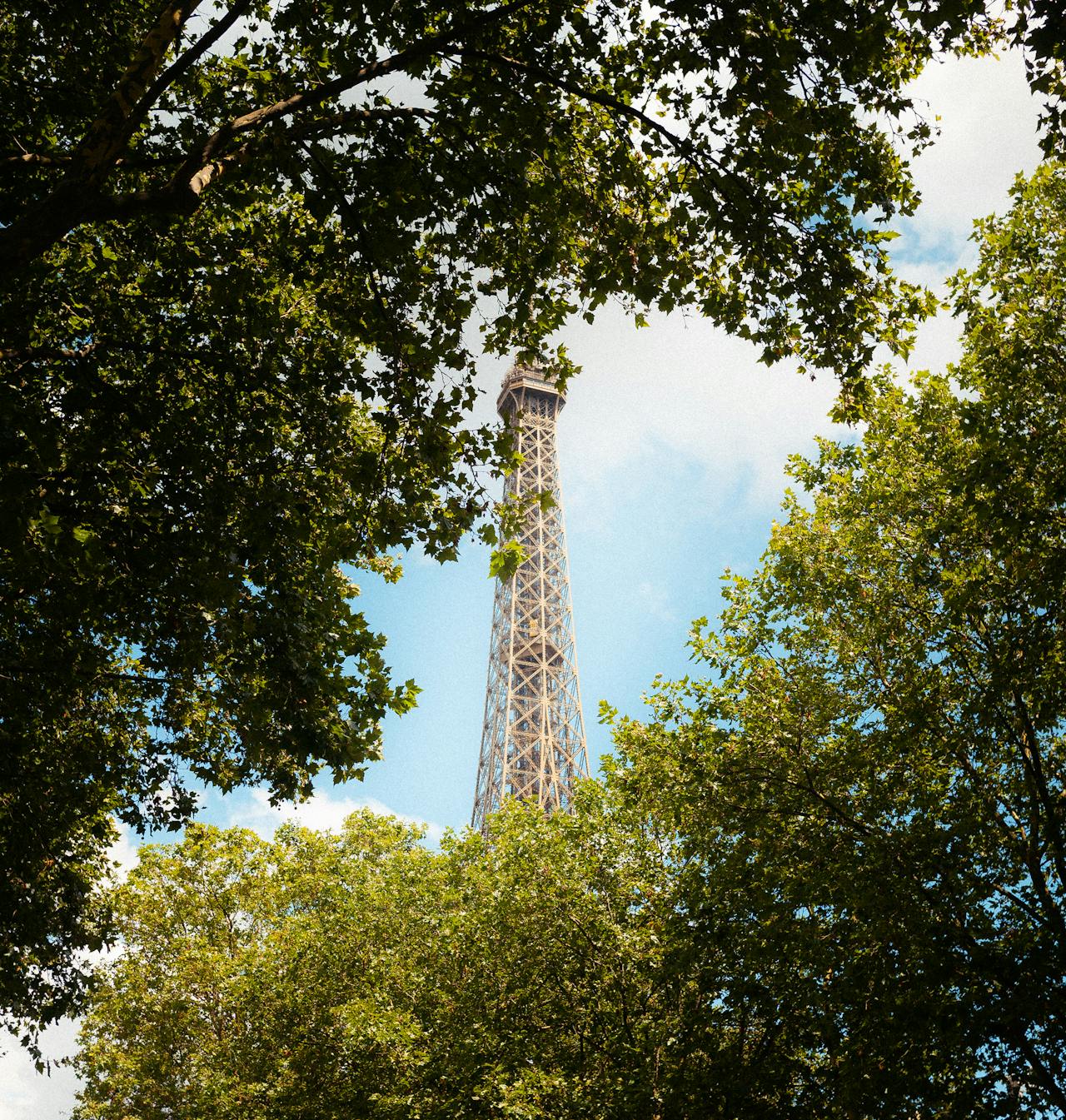 Aperçu de la tour Eiffel entourée de feuilles d’arbres. 