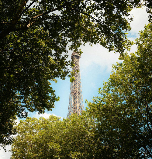 Aperçu de la tour Eiffel entourée de feuilles d’arbres. 